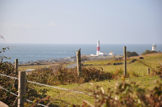 portland bill, portland bill,-3.JPG - PORTLAND - DORSET